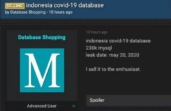 Soal Ratusan Ribu Data Pasien Covid-19 Bocor, Pakar Desak Audit
