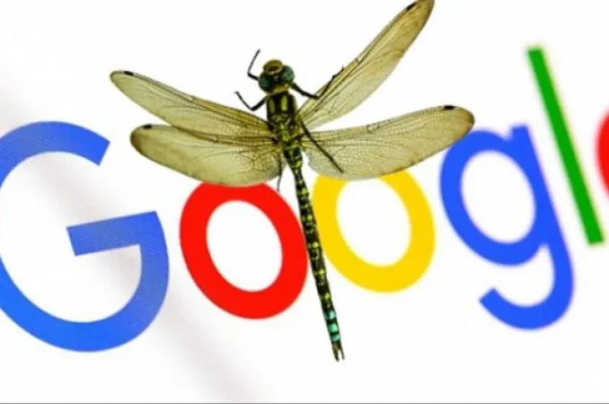 Google Tutup Proyek Mesin Pencari "Dragonfly"