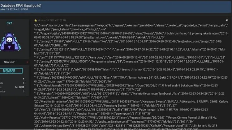 Kebocoran Data Pribadi yang Tak Berujung di RI